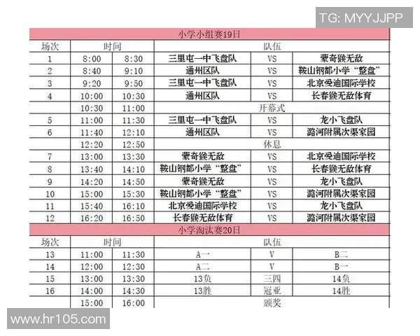 上海飞盘队与杭州飞盘队实力对比赛后分析与总结